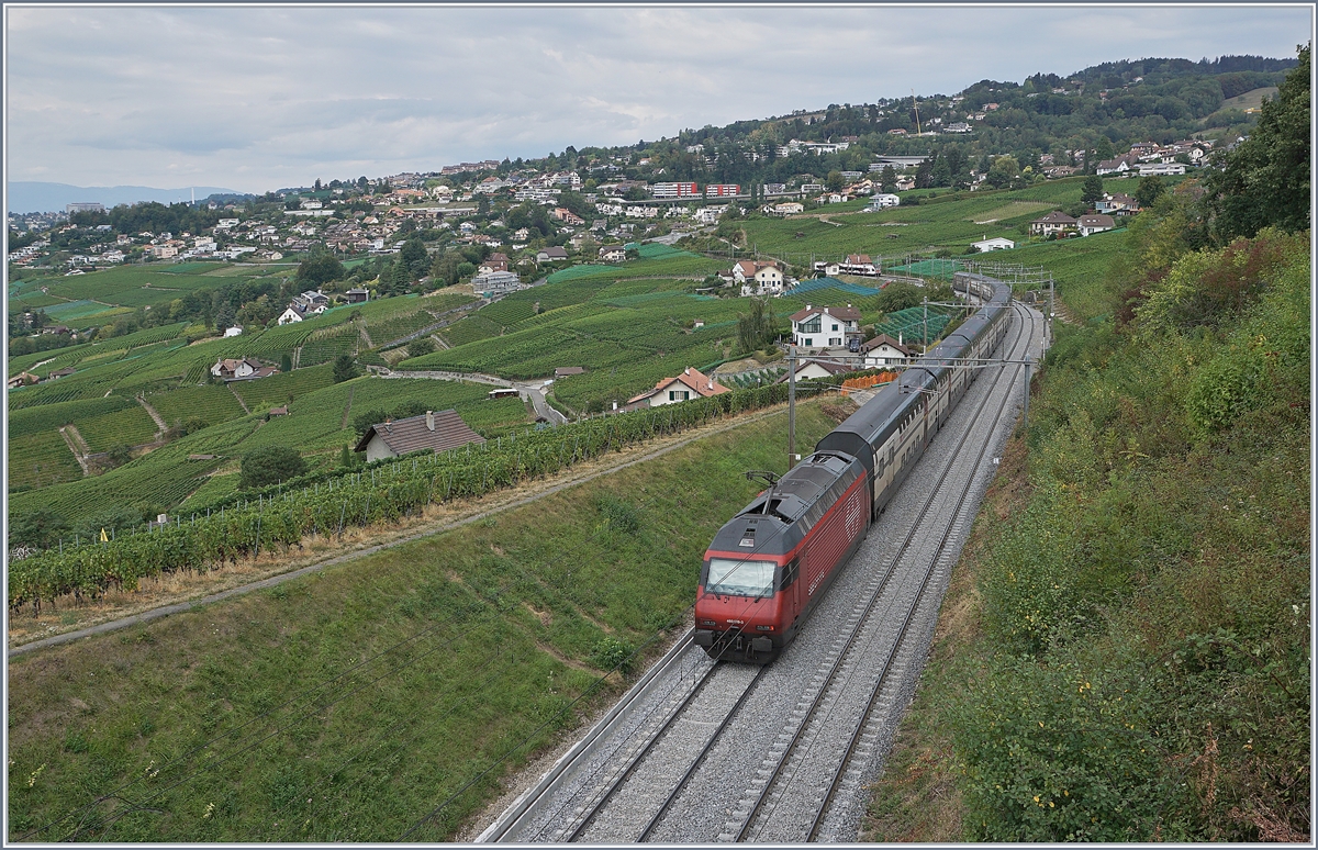 Nach sieben Wochen Bauarbeiten fahren seit Montag wie geplant die Züge wieder zwischen Lausanne und Puidoux-Chexbres - (Bern). Das Bild zeigt die SBB Re 460 019-3 mit dem IC 712 von St.Gallen nach Genève Aéroport kurz vor Bossière, dort wartet der SBB RABe 523 024 als S5 auf die Weiterfahrt nach Palézieux.
29. August 2018