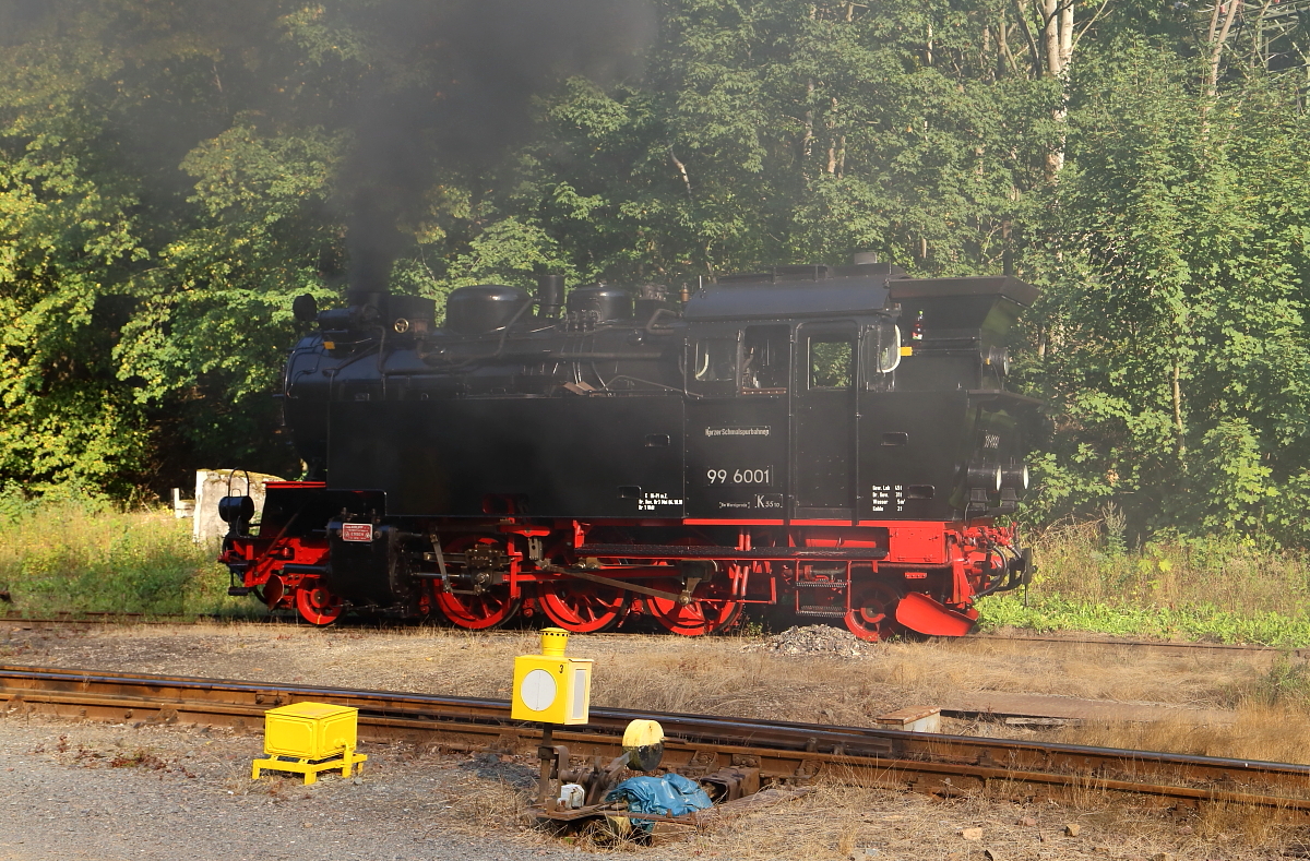 Nachdem 99 6001 am frühen Abend des 31.08.2019 P 8967 aus Hasselfelde im Bahnhof  Eisfelder Talmühle  abgeliefert hat, ist sie jetzt auf`s Wartungsgleis gefahren, wo die Maschine für die Rückfahrt nach Quedlinburg vorbereitet wird. Die ideale Gelegenheit, dem Fotografen eine ordentliche Prise Steinkohlenrauchduft zu spendieren! ;-)