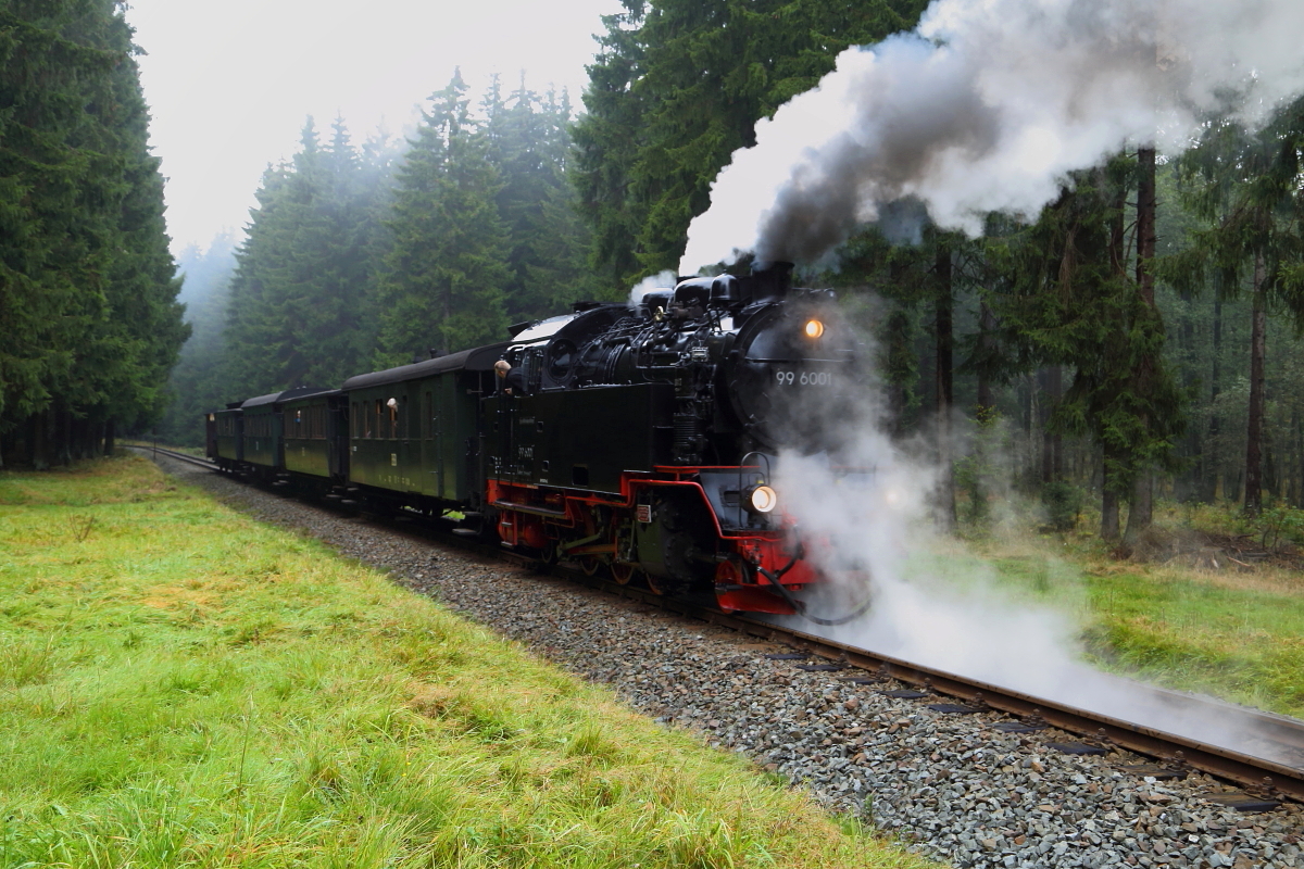 Nachdem die Fotografen ausgestiegen sind, drückt 99 6001 am 18.10.2015 ihren IG HSB-Sonderzug, zur Vorbereitung einer Scheinanfahrt am Kilometer 38,3, zwischen Elend und Sorge, ein Stück rückwärts.