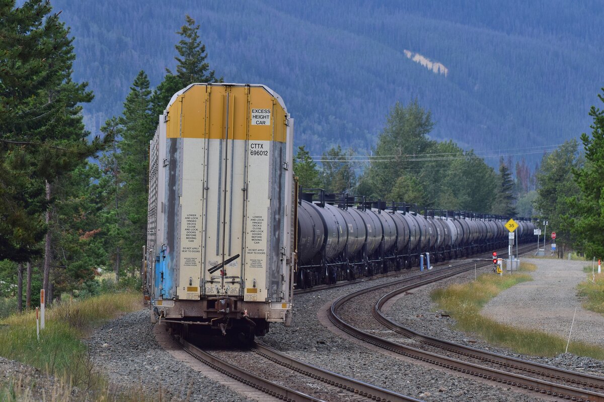Nachdem die Loks abgehangen wurden konnte man sehr gut die Größe der hohen Güterwagen sehen. In diesem Güterwagen werden die Autos in 3 Etagen geladen. Auf dem Güterwagen wird auch auf die Höhe hingewiesen da es auch Streckenund Stellen gibt die kleinere Lichtraumprofile haben. Auf diesen Strecken sind die Wagen selbbstverständlich verboten

Jasper 19.08.2022

