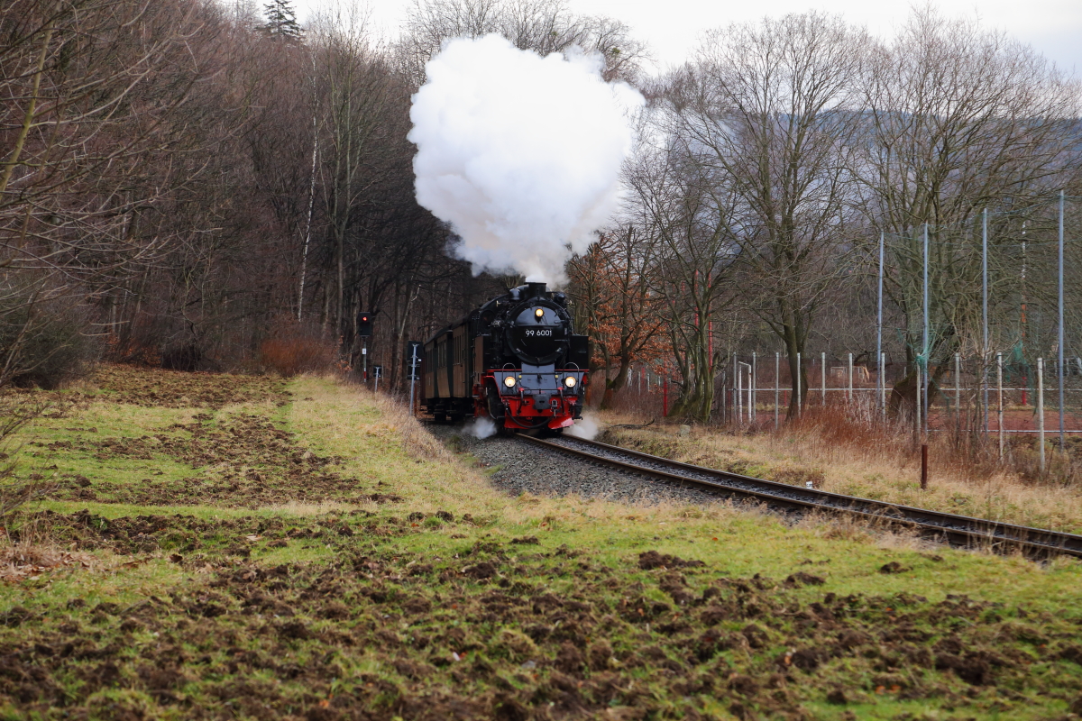 Nachdem nun auch der Fotogüterzug den Fotostandort zwischen Hasserode und Steinerne Renne (km 55,8)  passiert hat, kommt am 06.02.2016 jetzt 99 6001 mit Sonderzug 2 der IG HSB ins Bild. Der Zug wird an der Fotografenlinie vorbeifahren, dann zurückdrücken, alle Mann wieder einsammeln und danach die Fahrt in Richtung Drei Annen Hohne fortsetzen. Im Haltepunkt Steinerne Renne werden dabei Sonderzug 1 sowie der Fotogüterzug überholt. Kurz vor Drei Annen Hohne steht dann der nächste Fototermin an! (Bild 1)