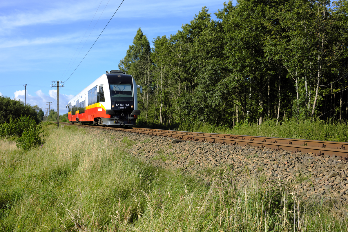 Nachdem SA 133-005 in Łeba  Kopf  machte, fuhr er am frühen Abend des 22.08.17 zurück nach Lębork. Die Aufnahme entstand bei Żarnowska. Hier eine etwas nährere Perspektive.