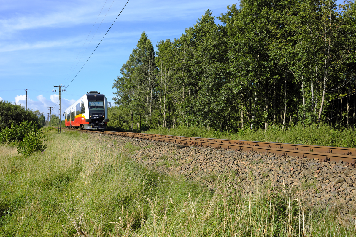 Nachdem SA 133-005 (820 068-5) in Łeba  Kopf  machte, fuhr er am frühen Abend des 22.08.17 zurück nach Lębork. Die Aufnahme entstand bei Żarnowska.