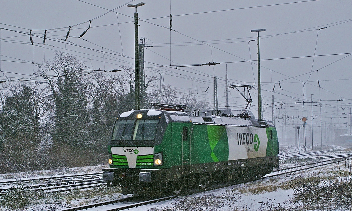 Nachdem sie einen Zug in den Güterbahnhof Neuss abgeliefert hatte, rollt die 1193 901 (Fahrzeugnummer: 91 81 1193 901-6 A-WENA) am 17.01.2024 in die Abstellung