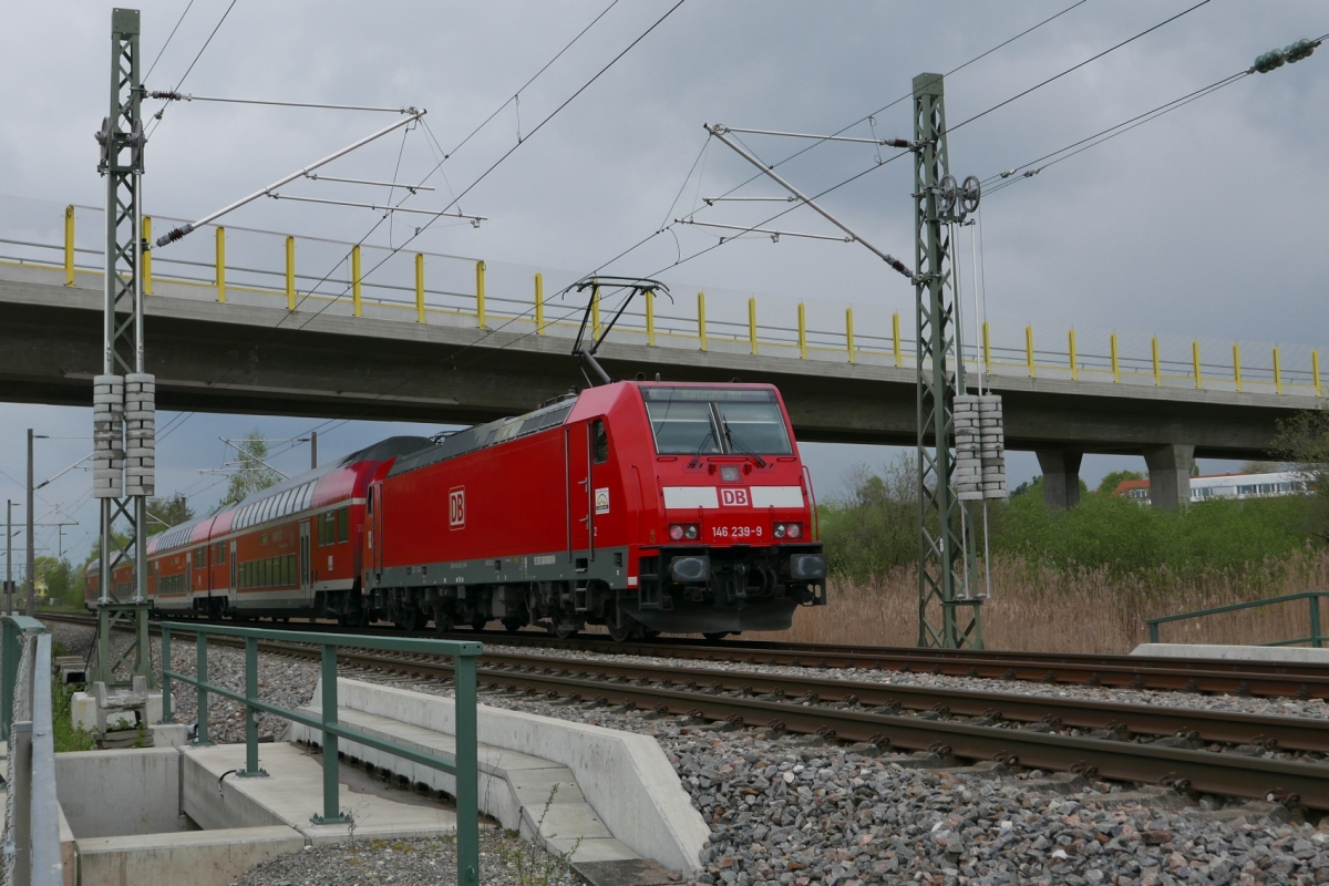 Nachher# Oberleitungsmasten aus Stahl. Am 24.04.2016 stehen zwischen den Haltestellen Reichenau und Wollmatingen zwei Masten aus Stahl, die die beiden Masten aus Beton ein Jahr zuvor ersetzt haben. 146 239-9 befindet sich mit dem RE 4716 auf der Fahrt von Konstanz nach Karlsruhe.