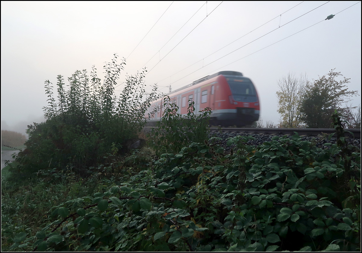 Nachlese Herbst 2019 -

Ein Bild ohne Wow-Effekt. Es soll aber alles so sein wie es ist. 

Ein S-Bahnzug der Linie S2 auf der Remsbahn bei Weinstadt-Endersbach an einem nebeligen Oktobermorgen. 

18.10.2019 (M)