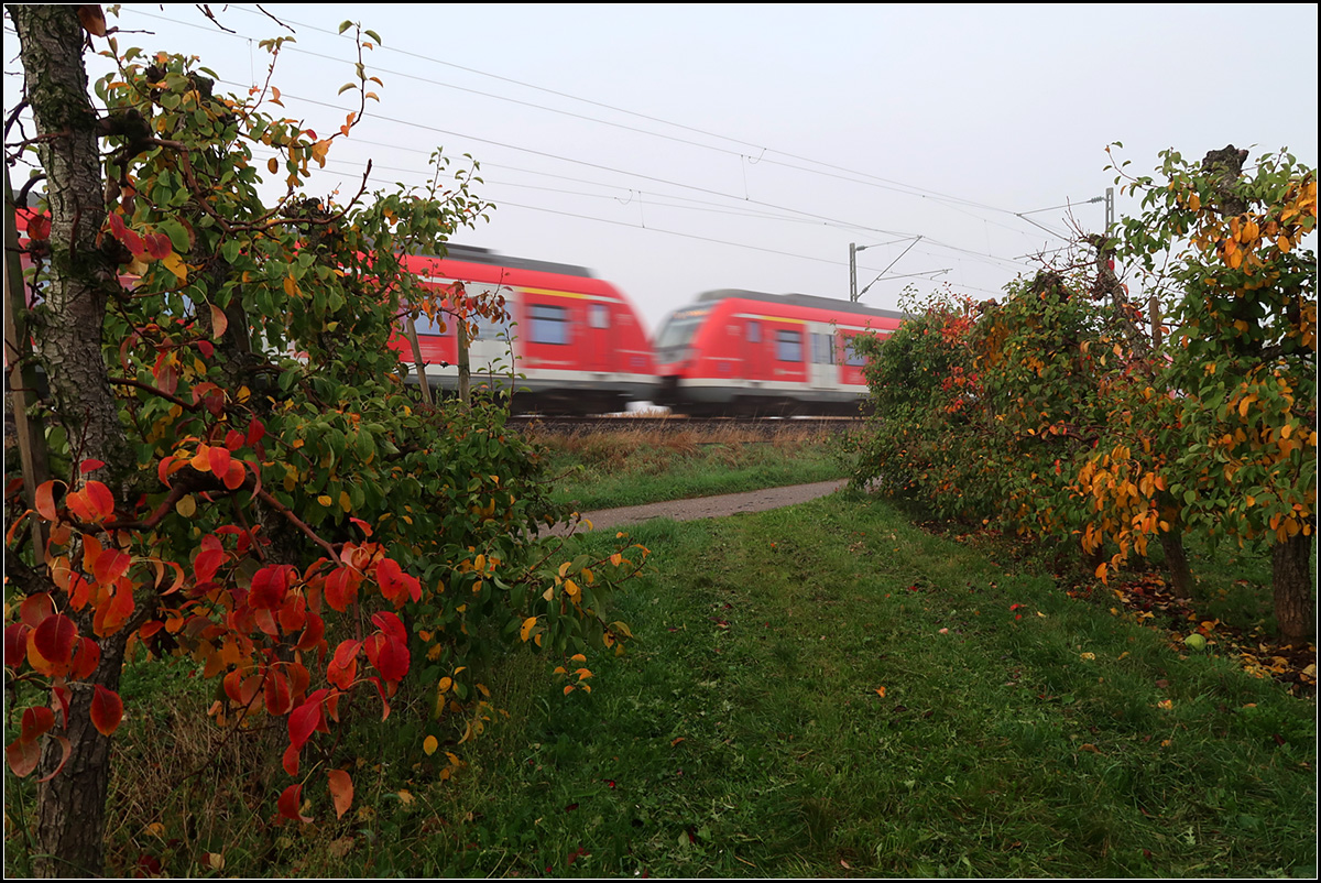 Nachlese Herbst 2019 -

S-Bahnzug der Linie S2 auf der Remsbahn bei Weinstadt-Endersbach. 

18.10.2019 (M)