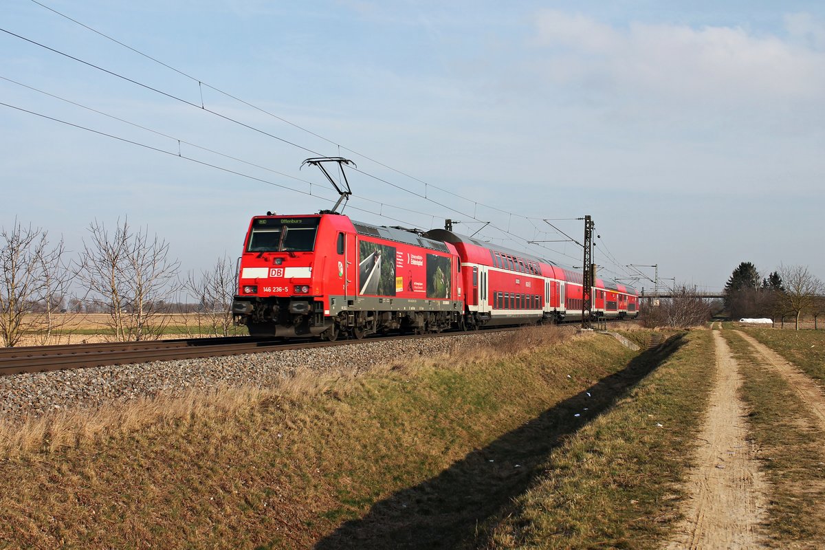 Nachschuss am 07.02.2015 auf die Freiburger 146 236-5  Schwarzwaldbahn Erlebnispfard/Triberg , als sie mit einem RE (Basel Bad Bf - Offenburg) bei Hügelheim gen Norden fuhr.