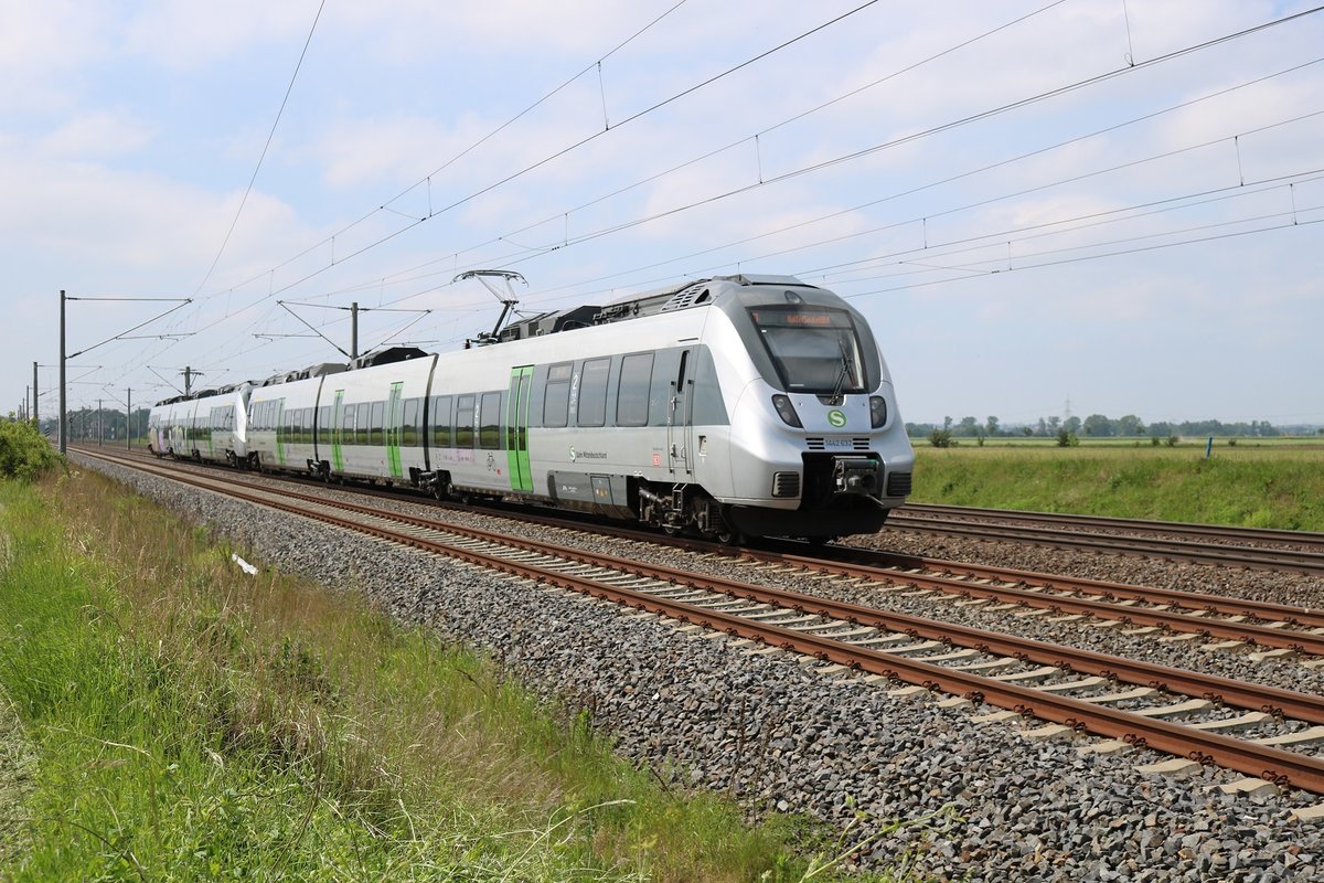 Nachschuss auf 1442 624 und 1442 632 (Bombardier Talent 2) der S-Bahn Mitteldeutschland als verspätete S 37336 (S3) von Geithain nach Halle(Saale)Hbf, die bei Benndorf auf der Bahnstrecke Magdeburg–Leipzig (KBS 340) fährt. [25.5.2017 - 14:52 Uhr]