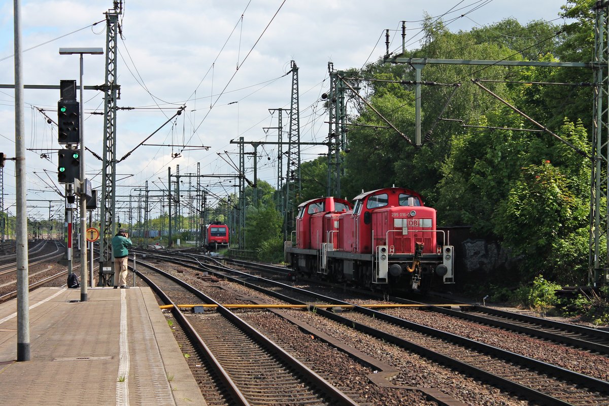 Nachschuss auf 295 016-0 und 295 043-4, als diese zusammen am 26.05.2015 durch Hamburg Harburg gen Maschen durchfuhren.