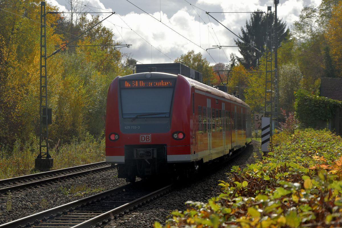 Nachschuß auf 425 733-3 als S1 nacch Osterburen in Neckargerach.4.11.2020
