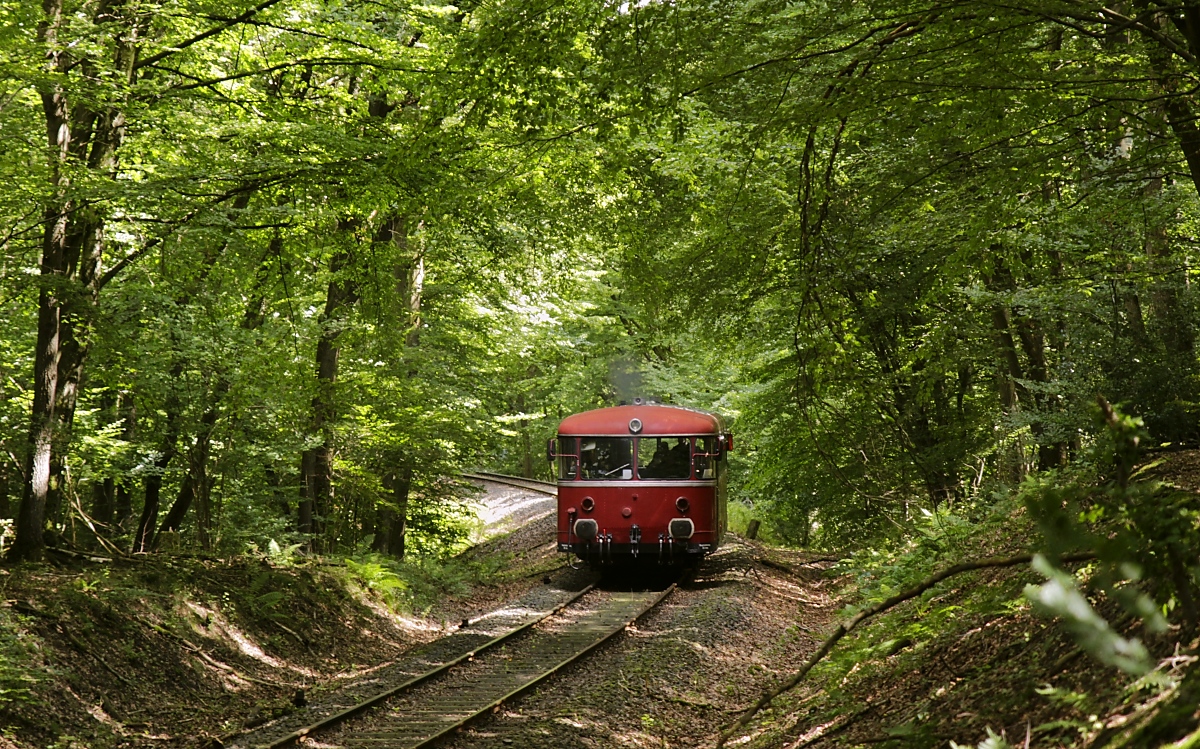 Nachschuss auf 798 729-0, der am 07.08.2021 unter dem dichten Blätterdach nach Kalenborn hinauffährt