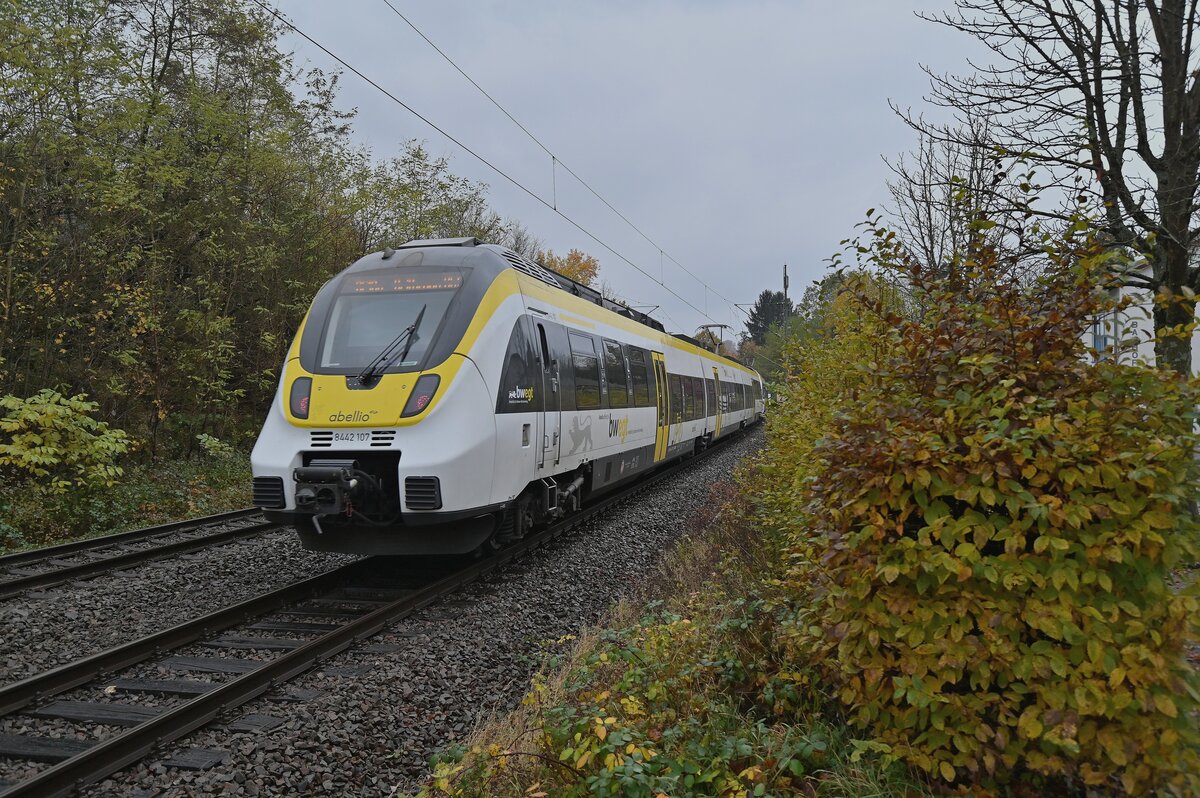 Nachschuß auf den 8442 107 bei der Durchfahrt in Neckargerach am Mittag des 4.11.2021