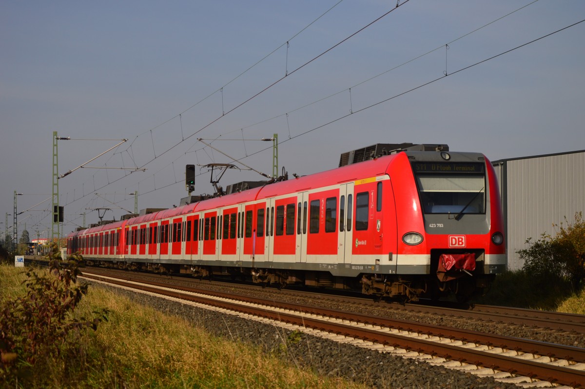 Nachschuß auf eine in Allerheiligen einfahrende S11 die aus Nievenheim kommend zu sehen ist. 31.10.2015