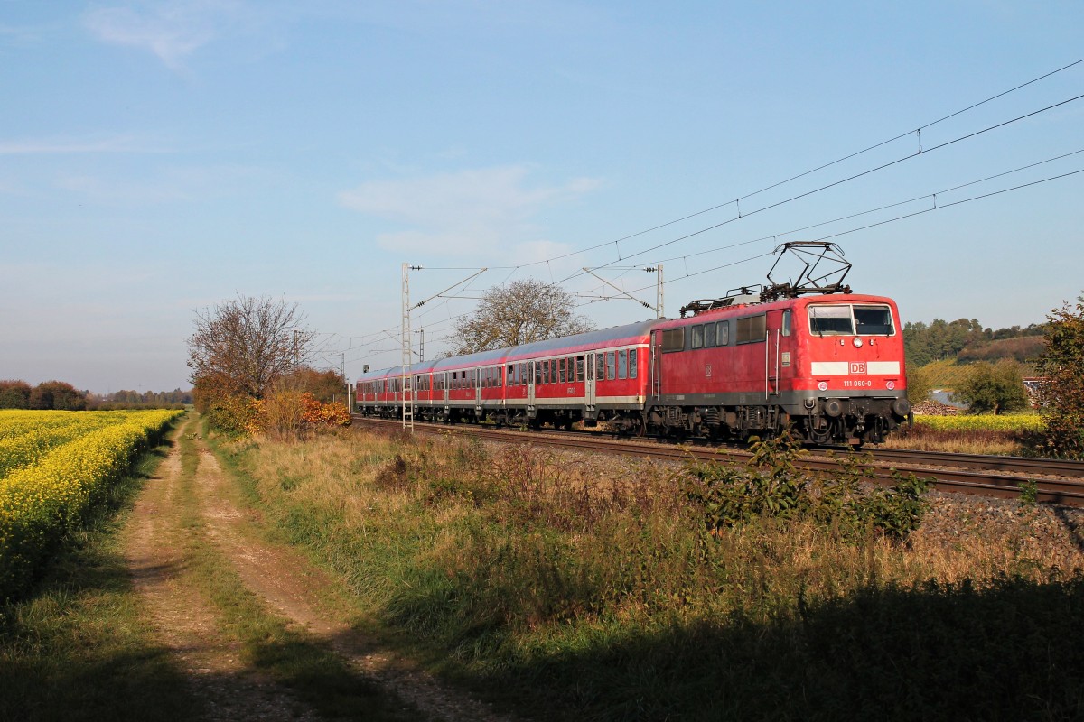 Nachschuss auf die Freiburger 111 060-0  1000 Jahre Gundelfingen  am 31.10.2014 als sie mit einer RB (Neuenburg (Baden) - Offenburg) bei Hügelheim in Richtung Buggingen fuhr.