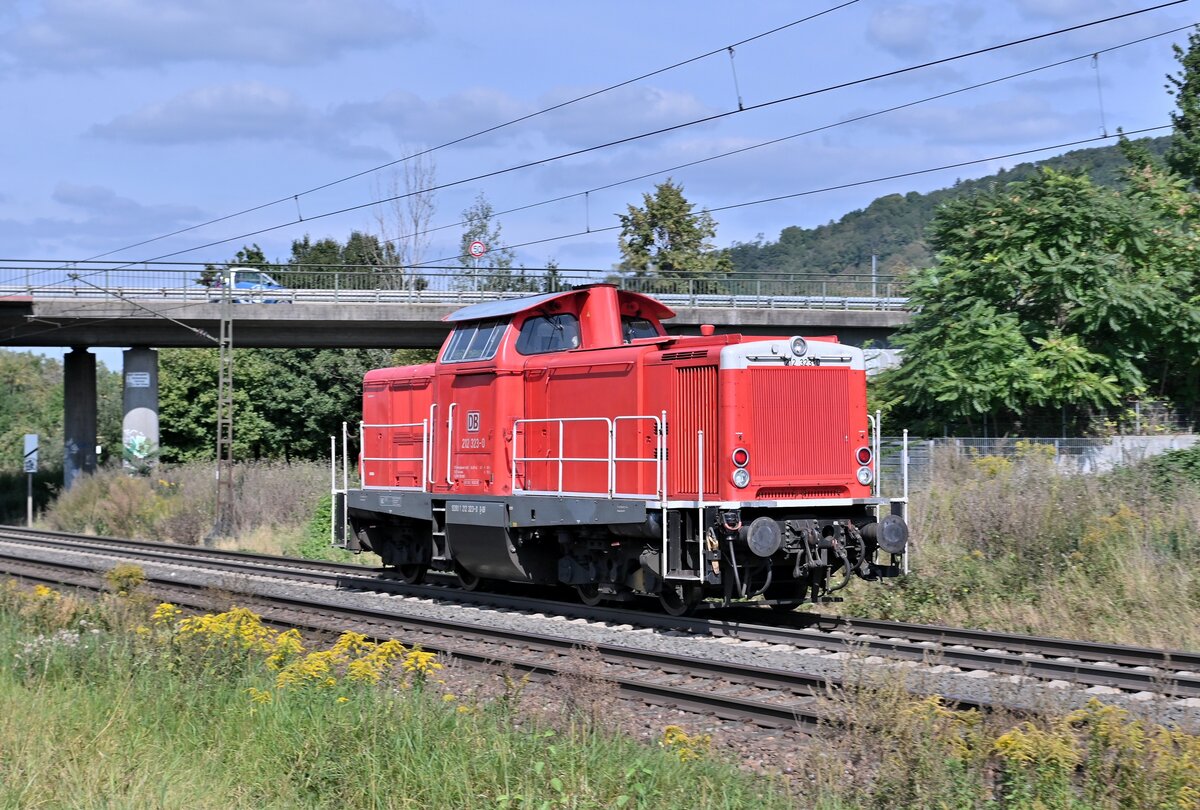 Nachschuß auf die LZ fahrende 1212 323-0 von DB Netzinstandsetzung bei Weinheim. 21.9.2021