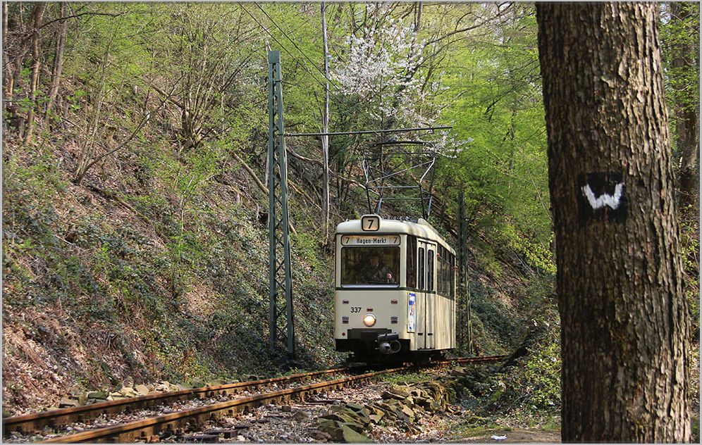 Nahe der Haltestelle Kaltenbach ist Triebwagen 337 Richtung Kohlfurter Brücke unterwegs. April 2019