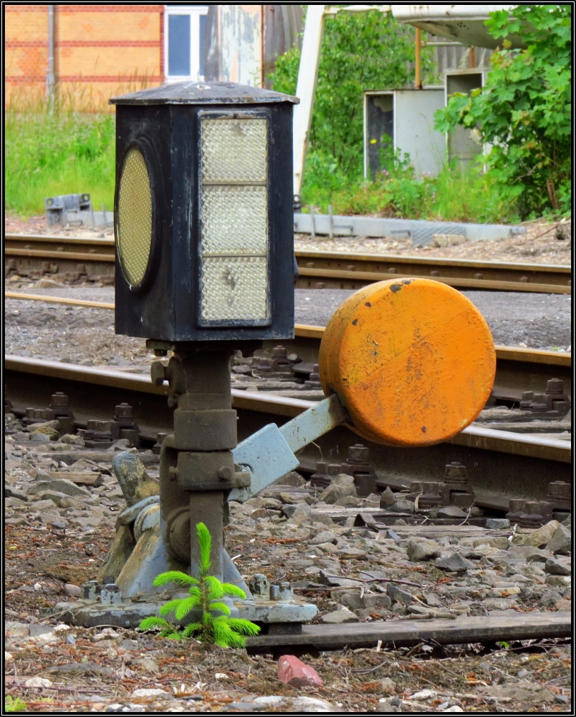 Nanu,was wächst denn da? Weichenhebel mit Laterne und integriertem Tannenbaum,gesehen am Stolberger Bahnhof,31.Mai 2015,öffentlich zugänglich vom Straßenrand aus festgehalten.