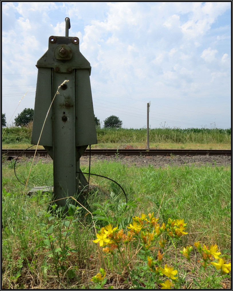 Natur und Technik im Einklang! Momentaufnahme einer Schrankenkurbel die Einst ihren Dienst tat am Bahnübergang von Bubenheim an der Bördebahn. Szenario vom 05.Juli 2015.