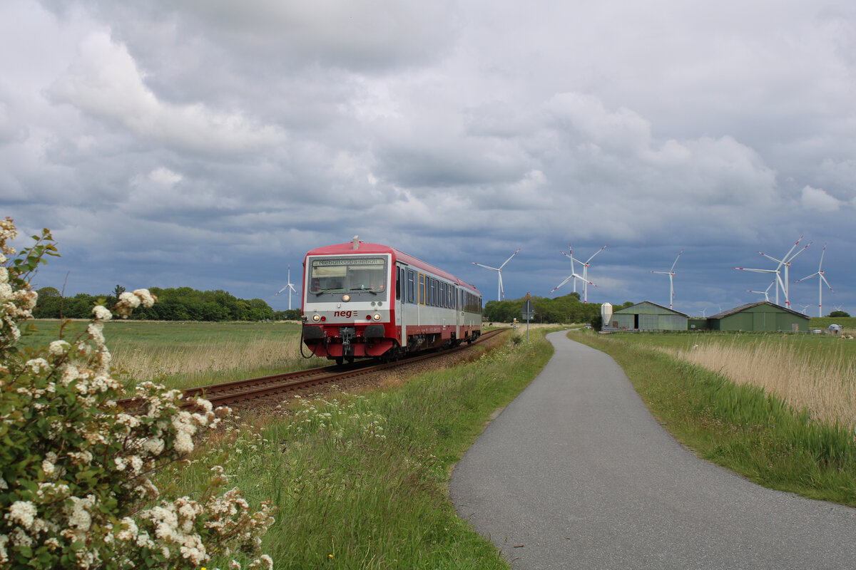 neg 628 071-2 fährt von Niebüll nach Dagebüll Mole und ist hier gerade zwischen Blocksberg und Dagebüll Kirche auf der Kleinbahn unterwegs. (30.05.2022)