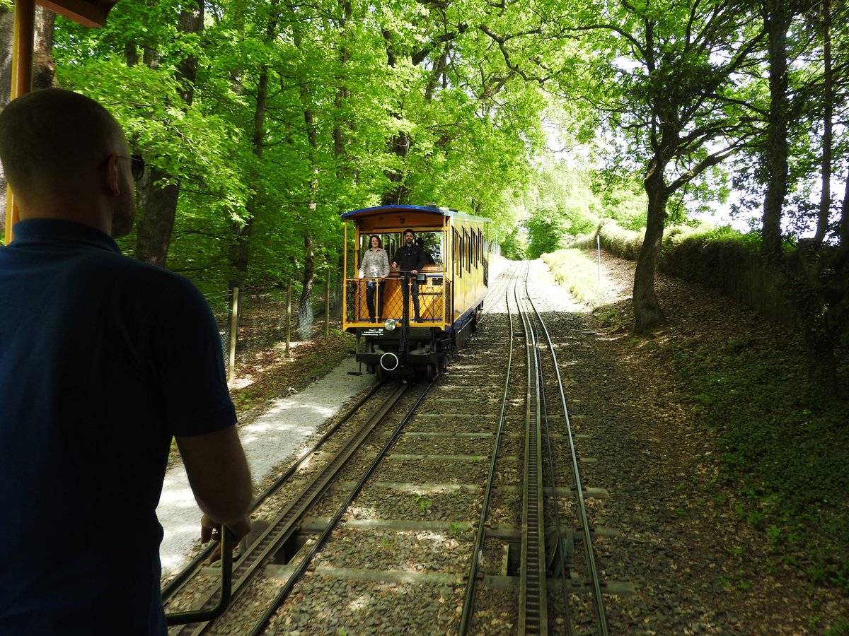 NEROBERGBAHN IN WIESBADEN-BEGEGNUNG IM WALD
Ein wirklich einmaliges Bahnerlebnis bietet die 1888,im Dreikaiserjahr,errichtete
und die älteste mit Wasserballast betriebene DRAHTSEIL-ZAHNSTANGENBAHN,die mit
ihren beiden Original-Wagen in Blau und Gelb auf den WIESBADENER Hausberg,
den NEROBERG fährt- hier an der Ausweichstelle,wo der talwärts fahrende Wagen
durch den Wasserballast den bergwärts fahrenden hochzieht....am 24.4.2018