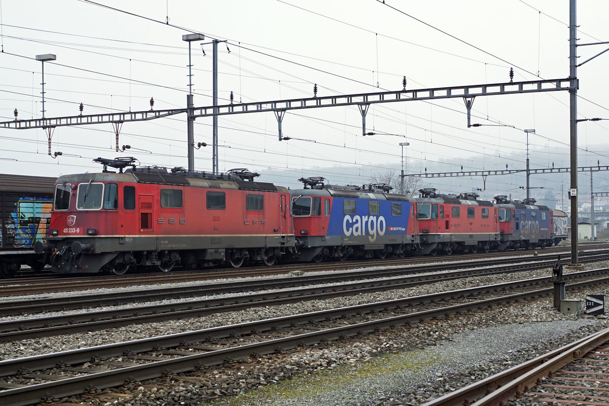 NEUJAHRSRUHE 2020
in Olten-Hammer
für Re 420 240-4, Re 420 169-5, Re 420 233-9, Re 420 253-7 von SBB CARGO
am 1. Januar 2020.
Foto: Walter Ruetsch 