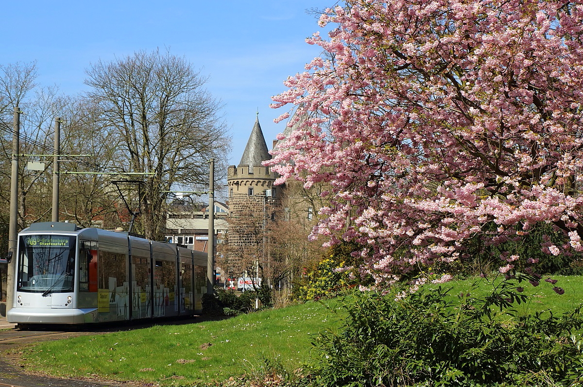 NF8 2210 der Rheinbahn am 10.04.2015 an der Haltestelle Neuss Stadthalle