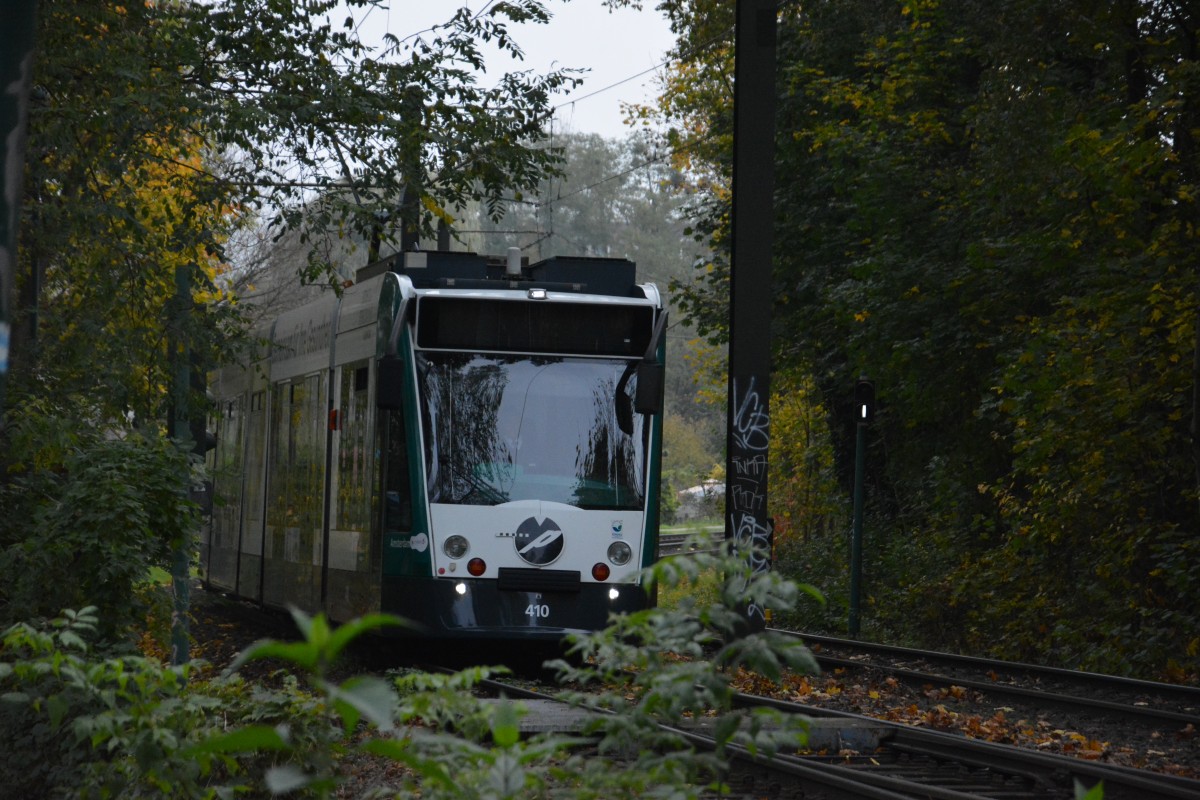 Nicht aus dem Urwald sondern vom Schlaatz kommt diese Siemens Combino 410  Amsterdam . Sie fährt heute am 25.10.2014 zum Bahnhof Rehbrücke (Bauarbeiten).