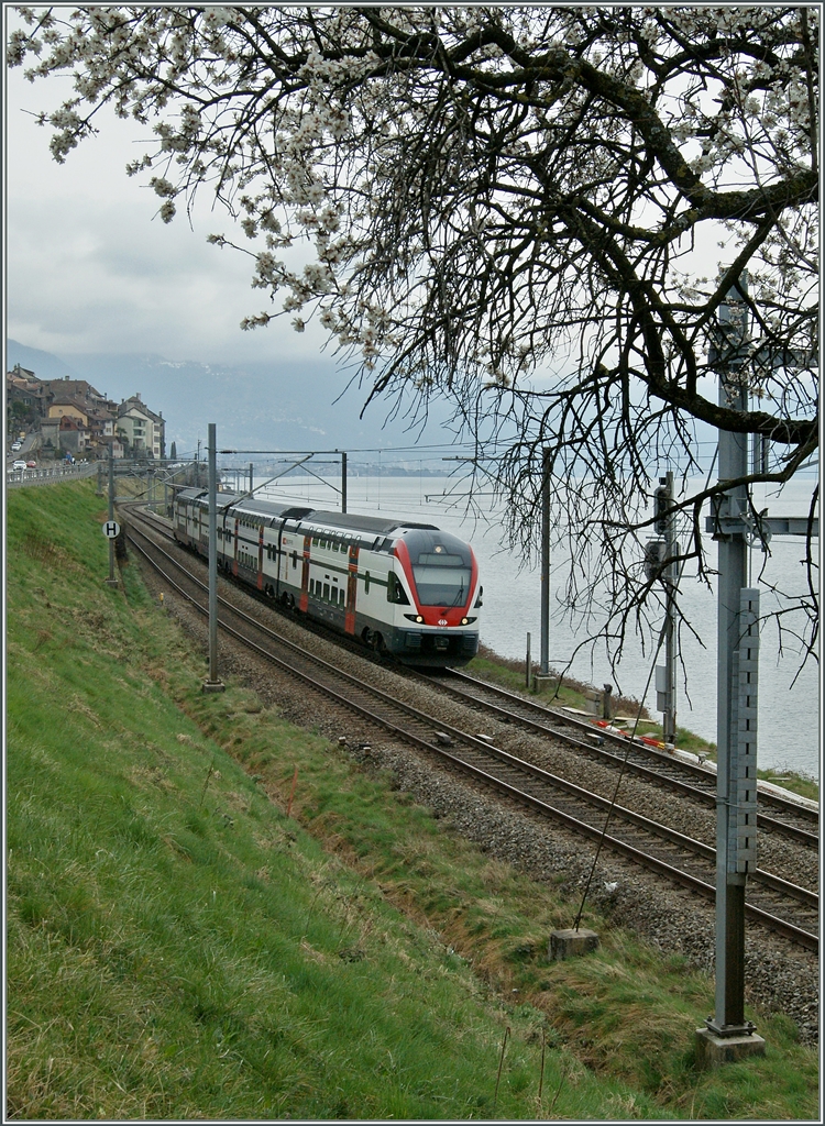 Nicht ganz einfach gestaltete sich heute die Suche nach dem  Frühling : Unter einem blühenden Baum erreicht der SBB RABe 511 102 als RE von Vevey nach Genève das Einfahrsignal von Rivaz. 
22. März 2015