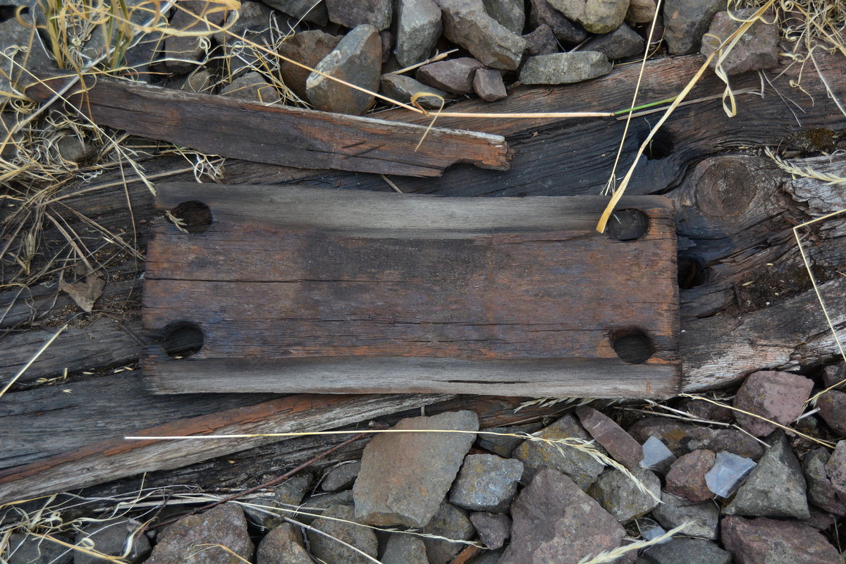 Nicht nur die Dübel in den Betonschwellen waren zu damaligen Zeiten aus Holz ebenso die Zwischenlagen und die Unterlagen unter den Rippenplatten. Gesehen auf der seit 2000 stillgelegten Strecke Haldensleben - Eilsleben.

Haldensleben 21.07.2018