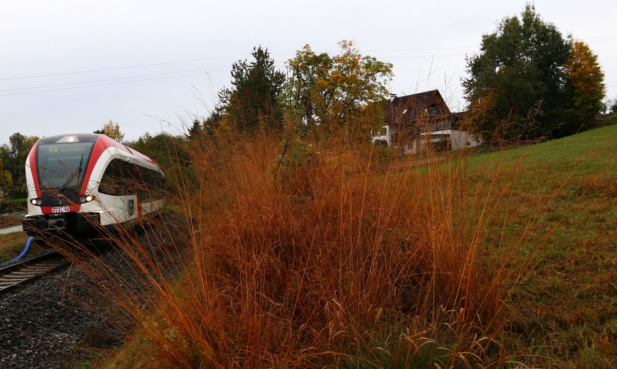 Nicht nur das Gras , auch die Bäume haben in den letzten beiden Tagen ihr Herbstkleid übergezogen. Deutschlandsberg am 21.10.2016