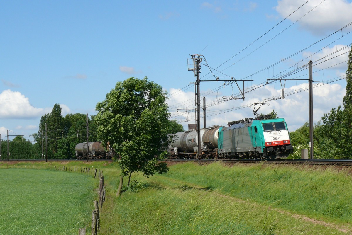 Nicht viel Mühe hat Cobra-Lok 2831 mit diesem kurzen Kesselwagenzug. Aufgenommen am 12/06/2010 an der Schleife bei Ekeren.