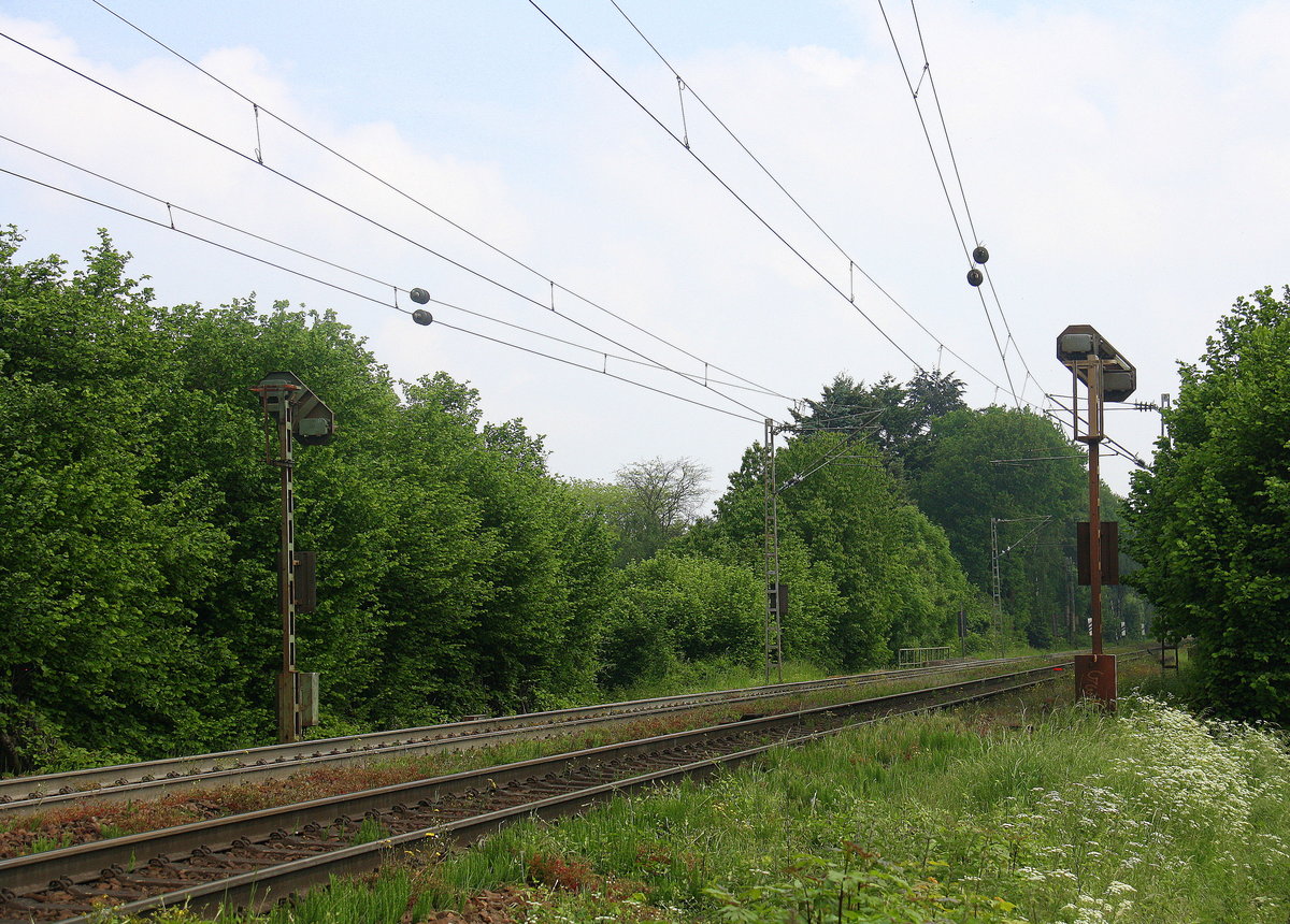 Nichts Los auf der Montzenroute am Gemmenicher-Weg. 
Aufgenommen an der Montzenroute am Gemmenicher-Weg. 
Bei Sonne und Wolken am Mittag vom 28.5.2016.