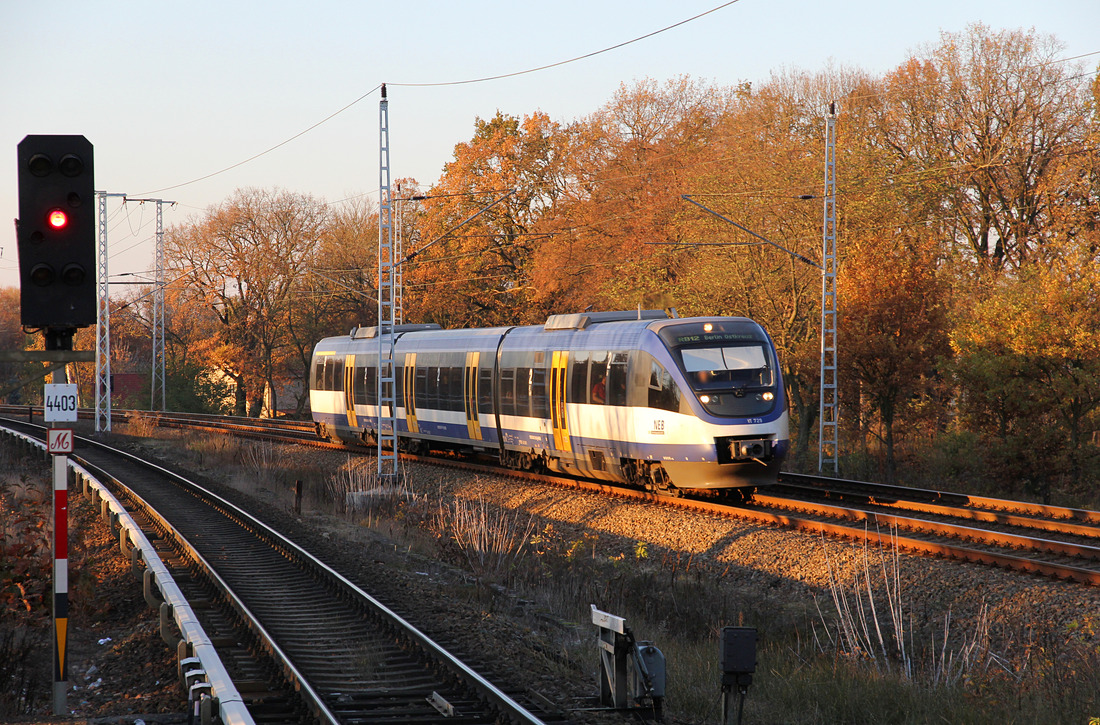 Niederbarnimer Eisenbahn VT 729 // Lehnitz // 12. November 2016