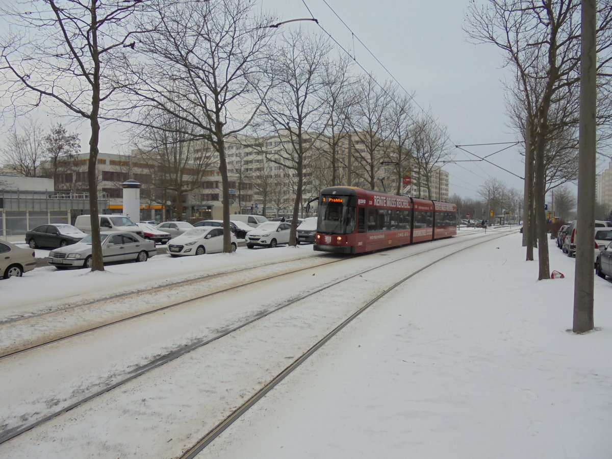 Niederflurgelenktriebwagen NGT D8DD Wagen 2629 zwischen den Haltestellen Jacob - Winter Platz und Georg - Palitzsch Str. als Linie 9 unterwgs. 31.01.2017