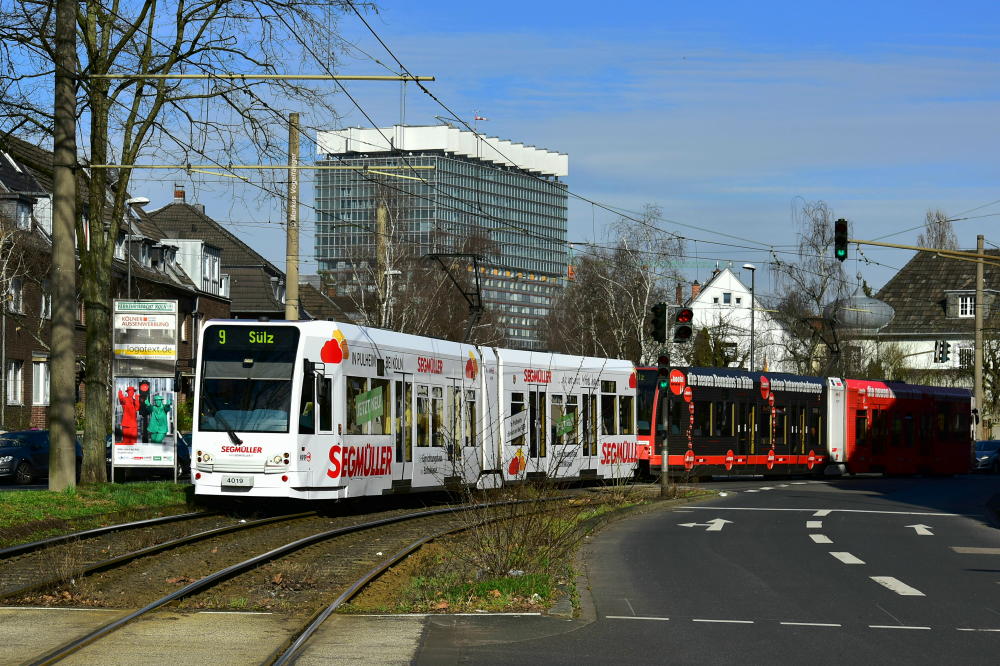 Niederflurwagen 4019 wurde eine neue Ganzreklame für das Möbelhaus  Segmüller  angebracht. Hier zu sehen in Sülz kurz vor der Haltestelle Mommsenstraße am 10.03.2017
