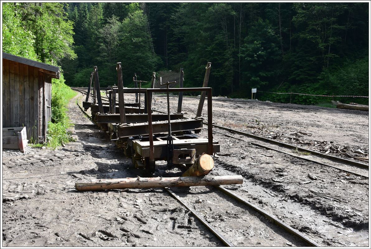 Nit Holz werden sie beladen und mit Holz werden sie gesichert, die Drehschemelwagen im Wassertal. (12.06.2017)