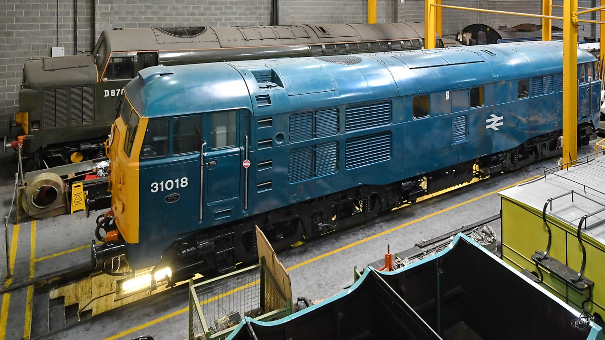 No. 31018 ist eine 1957 gebaute Diesellokomotive der Klasse 31. (National Railway Museum York, Mai 2019)