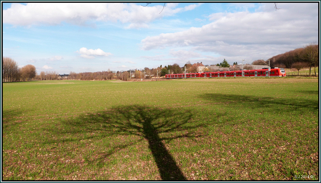 Noch ist der Baum recht nackt und wirft seinen Schatten ins Bild,die Rhein Niers Bahn macht sich unterdessen auf der KBS 485 nach Duisburg weiter. Landschaftsaufnahme aus Rimburg an der deutsch - niederländischen Grenze bei Übach Palenberg Anfang März 2014.