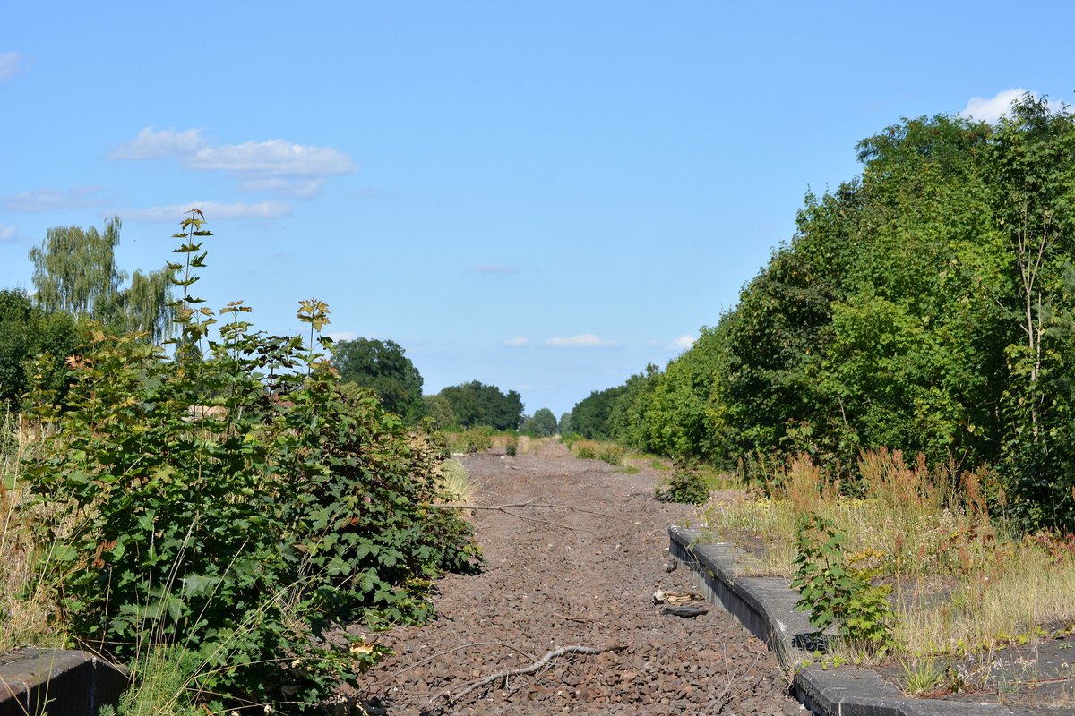 Noch bis vor 12 Jahren stände ich hier im Gleisbereich. Heute jedoch ist die Strecke stillgelegt und teilweise abgebaut worden. Hier in Lindau sind noch die AUsfahrtsignae Richtung Güterglück erhalten sowie die Bahnsteige samt Bahnhofsgebäude. 1992 wurde die Strecke ab Nedlitz bis Güterglück 2 Gleisig ausgebaut und 1 Jahr später elektrifiziert. Nur knapp 10 Jahre später wurde die Strecke stillgelegt und wird teilweise zurück gebaut.

Lindau 20.07.2016