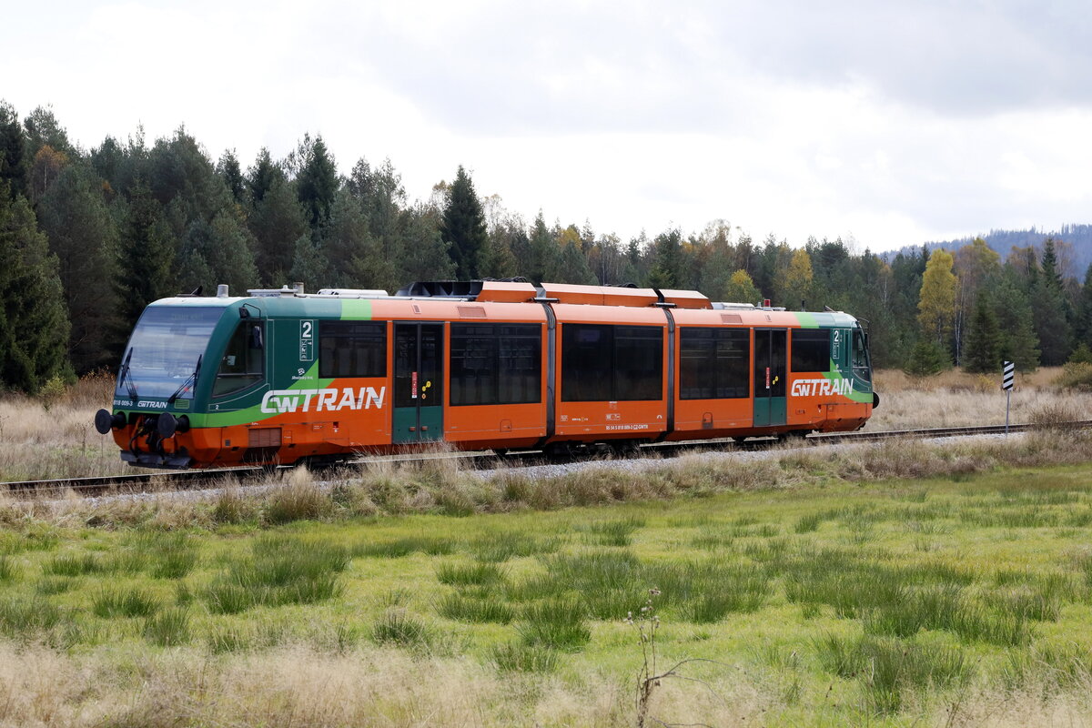 5 818 Baureihe 818 ·RegioSwinger· Private Fotos Bahnbilder.de