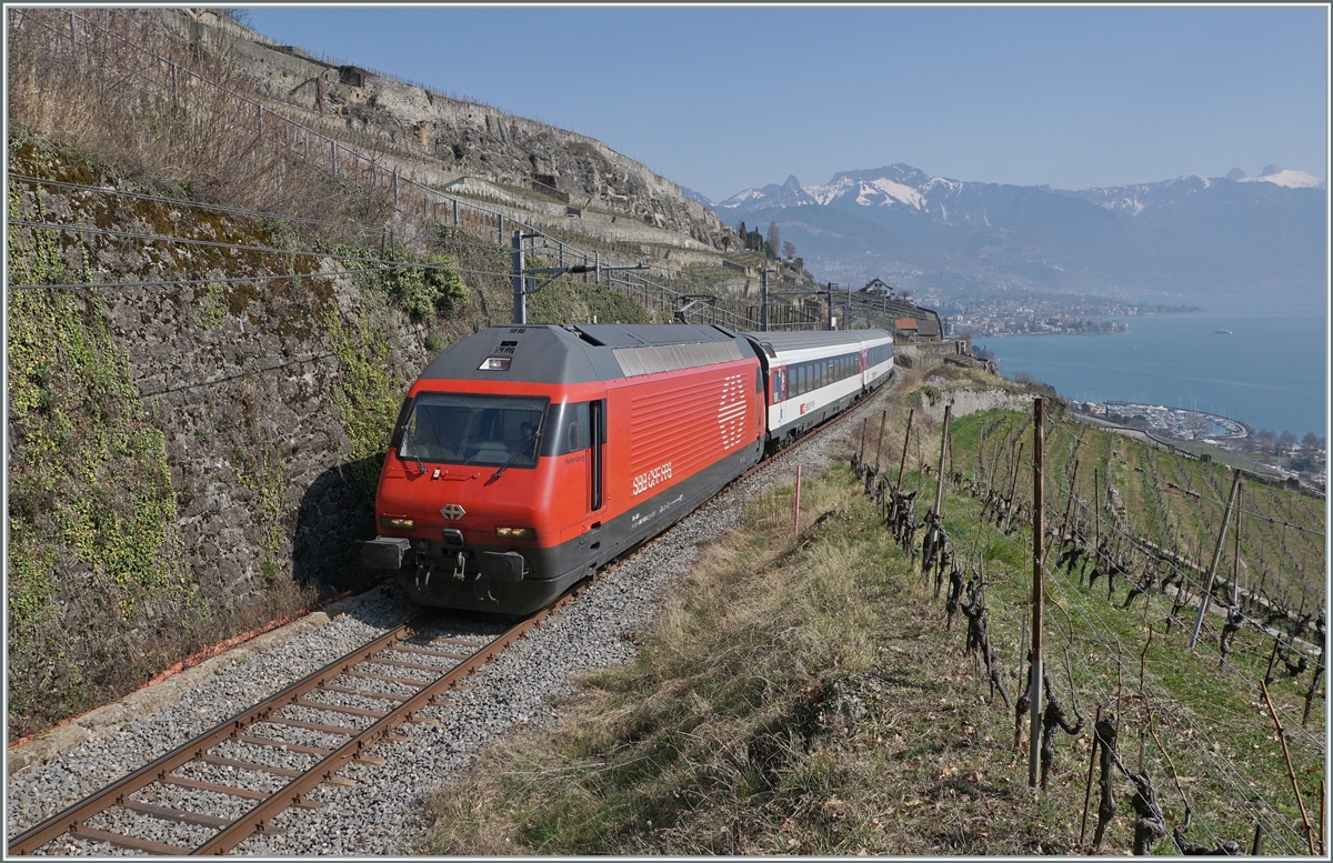 Noch einmal die SBB Re 460 103-5  Heitersberg  mit ihrem RE 30268 von St-Maurice nach Genève Aéroport zwischen Vevey und Chexbres kurz vor der Einfahrt in den 20 Meter langen Salanfe Tunnel oberhalb von St-Saphorin. 

 20. März 2022