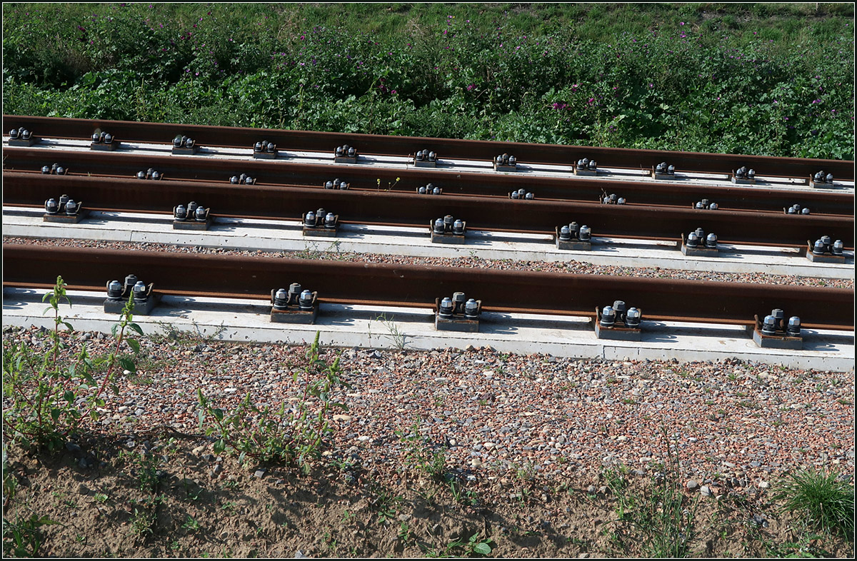 Noch frische unbenutzte Gleise -

Gleisimpression der Neubaustrecke der Stuttgarter Stadtbahnlinie U6 zum Flughafen. Obwohl die Strecke durch die Filderebene läuft, geht es doch rauf und runter. Hier an dieser Stelle hat man eine Steigung von 8%, daher die Schieflage.

14.09.2020 (M)


