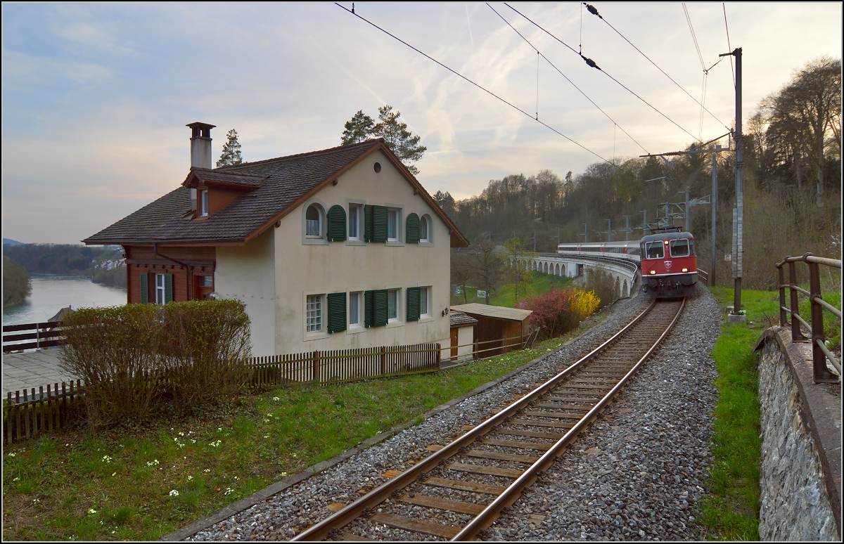 Noch lässt die Vegetation einen Blick auf den Hangviadukt in Neuhausen zu. Re 4/4<sup>II</sup> 11154 mit dem IC Zürich-Stuttgart am Rheinfall. April 2015.