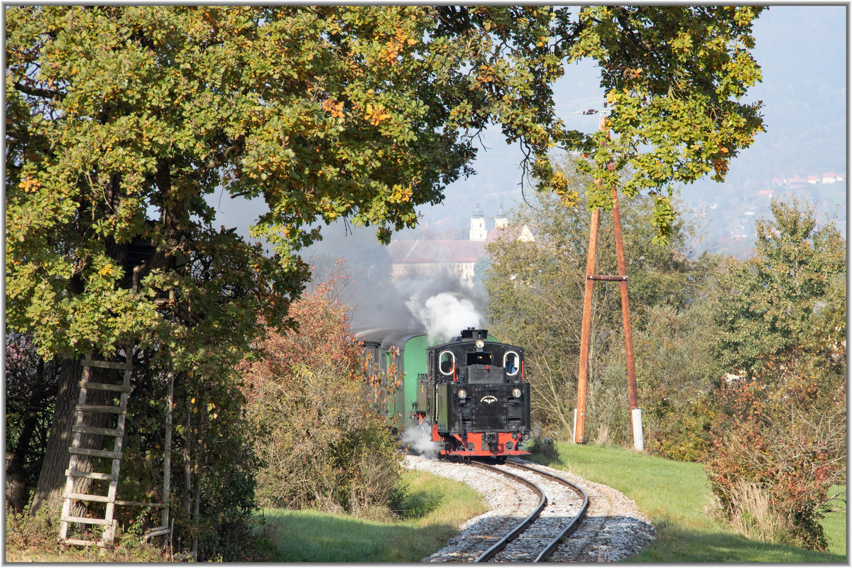 Noch nicht ganz hat der Eichenbaum zwischen Kraubath und Neudorf sein Laub verfärbt.... 
19.10.2019