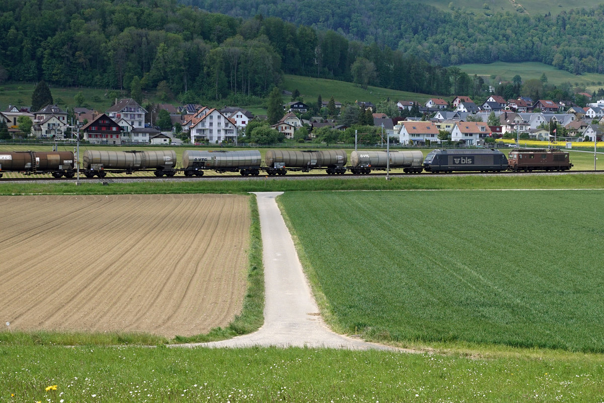 Noch stehen die letzten Re 425 von BLS CARGO im täglichen Einsatz.
Die Re 425 gehören zu den fotogenen Lokomotiven die gegenwärtig noch auf dem schweizerischen Schienennetz unterwegs sind. Da bei der BLS die Ausrangierung der Re 425 in letzter Zeit rasant vorangetrieben wird, zeige ich gleich noch einmal eine Serie von fünf Betriebsaufnahmen, die noch vor kurzer Zeit in meiner Region entstanden sind.
In Betrieb genommen wurden die Re 4/4 161 - 195 in den Jahren 1964 – 1983. Viele dieser bei den Bahnfotografen sehr beliebten Oldtimer wurden leider bereits verschrottet.
Gemischte Traktion bestehend aus Re 425 175 und Re 465 015-3 vor einem Kesselwagenzug Cornaux-Basel bei Niederbipp am 14. Mai 2019.
Foto: Walter Ruetsch  
