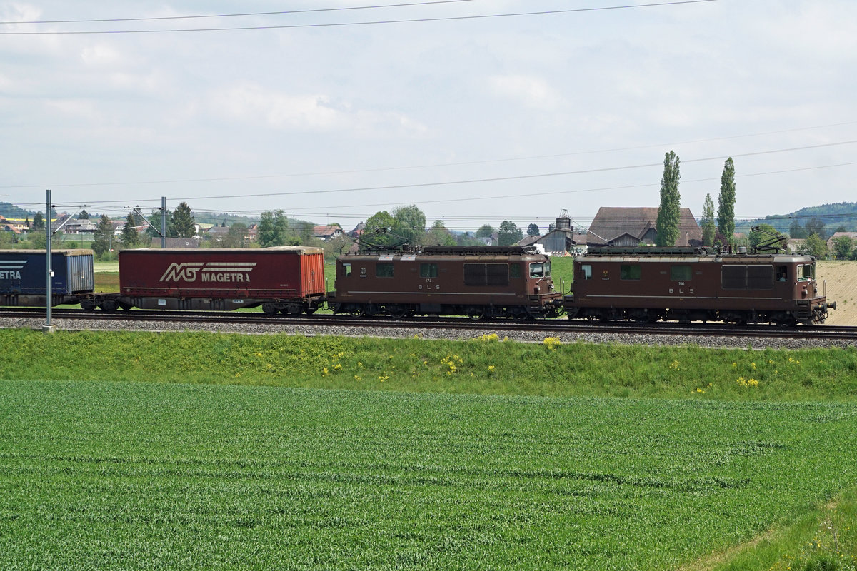 Noch stehen die letzten Re 425 von BLS CARGO im täglichen Einsatz.
Die Re 425 gehören zu den fotogenen Lokomotiven die gegenwärtig noch auf dem schweizerischen Schienennetz unterwegs sind. Da bei der BLS die Ausrangierung der Re 425 in letzter Zeit rasant vorangetrieben wird, zeige ich gleich noch einmal eine Serie von fünf Betriebsaufnahmen, die noch vor kurzer Zeit in meiner Region entstanden sind.
In Betrieb genommen wurden die Re 4/4 161 - 195 in den Jahren 1964 – 1983. Viele dieser bei den Bahnfotografen sehr beliebten Oldtimer wurden leider bereits verschrottet.
Am 14. Mai 2019 waren Re 425 174 und Re 425 190 als Doppelpack mit einem langen Güterzug bei Bollodingen unterwegs auf der Fahrt in den Süden.
Foto: Walter Ruetsch  

