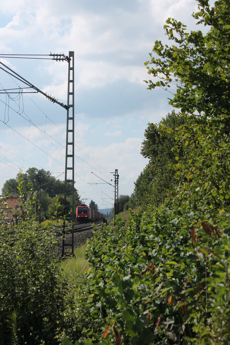 Noch weit entfernt nähert sich 482 043 mit ihrem Containerzug am 08. August 2016 bei annähernd 30°C. Fahrtrichtung ist Ingolstadt aus Richtung Treuchtlingen kommend. Soeben hat sie den Haltepunkt Eitensheim durchquert.