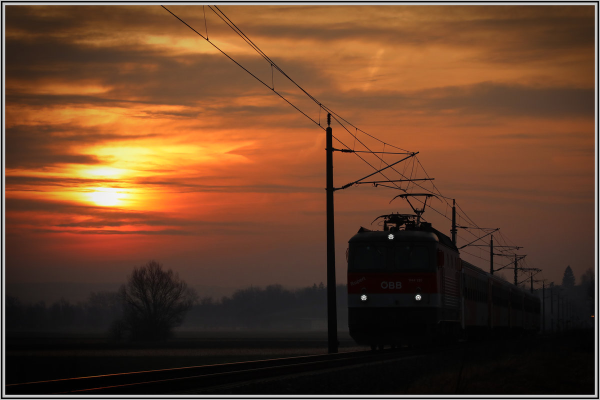 Nochmal meine Sumsi an diesem Morgen zwischen Werndorf und Wildon. 
21.02.2019