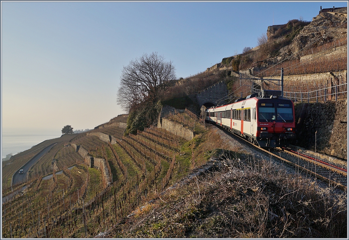 Nochmals der SBB Domino als Train des Vignes, diesmal im Gegenlicht auf seiner Fahrt von Vevey nach Puidoux oberhalb von St-Saphorin unmittelbar vor dem 20 Meter langen Salanfe Tunnel.
25. Jan. 2019
